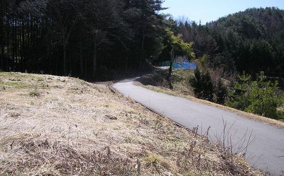 土地と道路付き