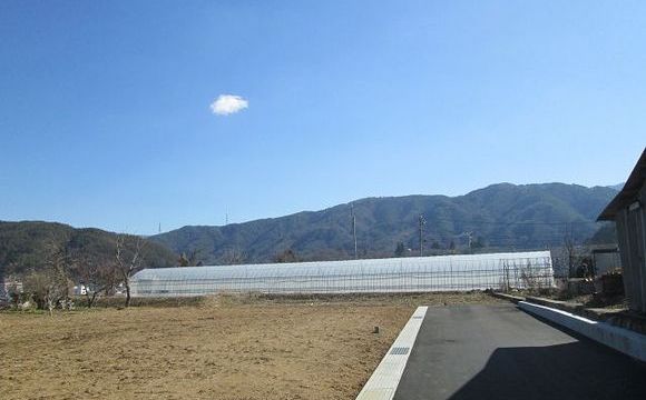東側は高遠城址公園の桜が見えます。