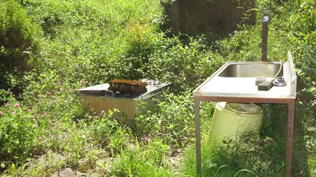 東側 庭にある井戸