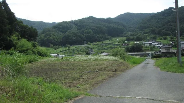 住宅から500m位離れた畑