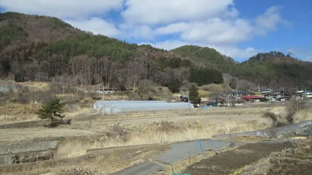 西側 里山の風景