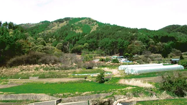 西側 里山の風景(5月頃の様子)