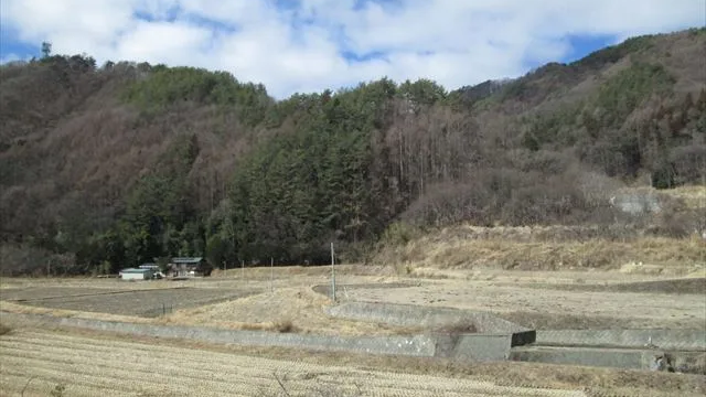 西側 里山の風景