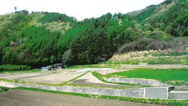 西側 里山の風景(5月頃)