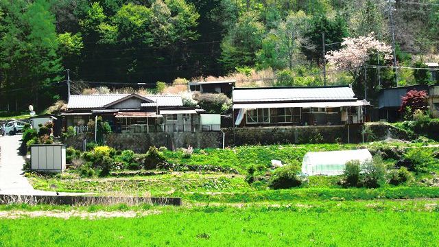 西側より(5月頃の風景)