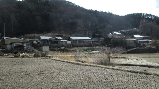 西側より(周りの様子)